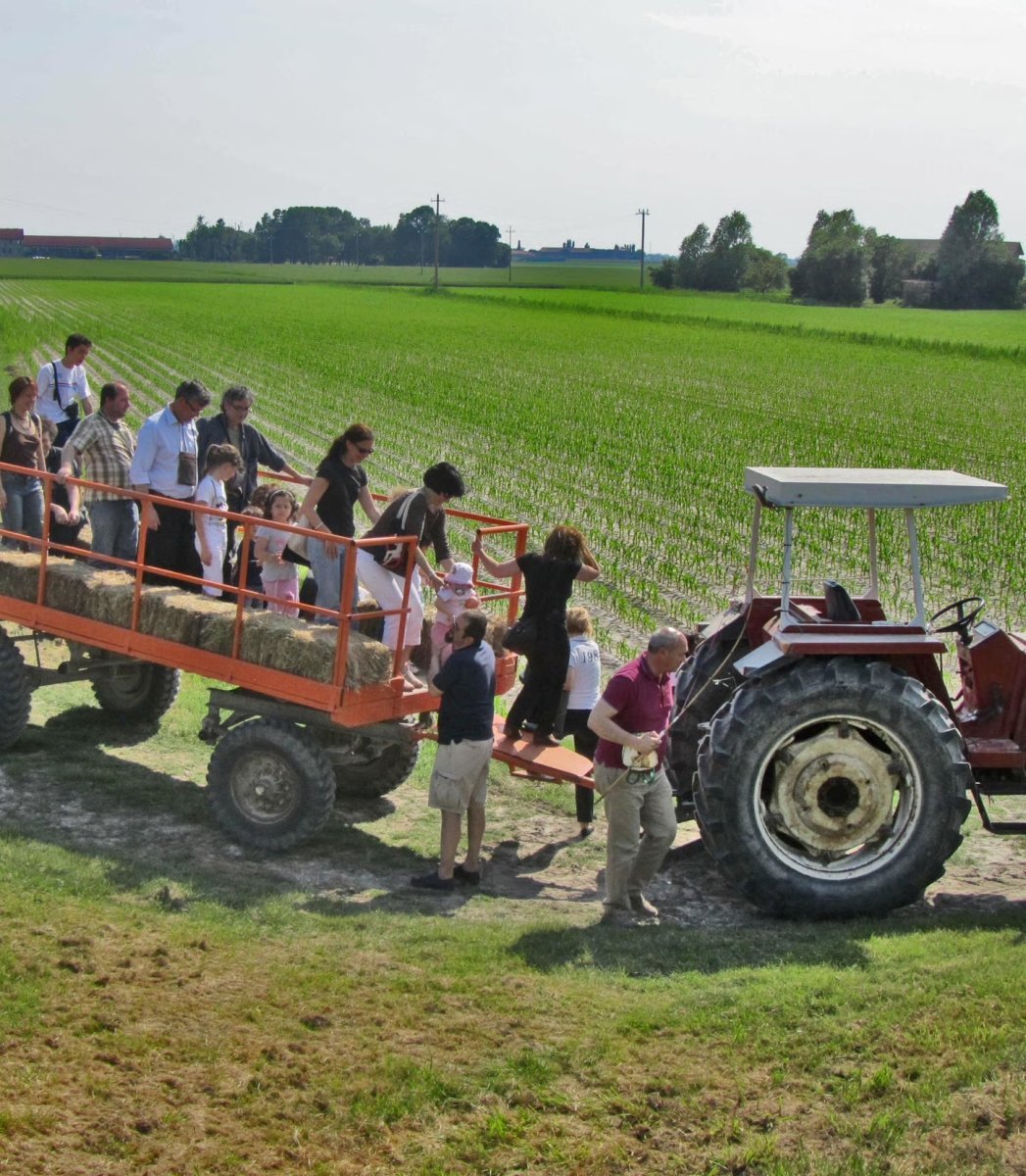 Hemingway Wine Tour