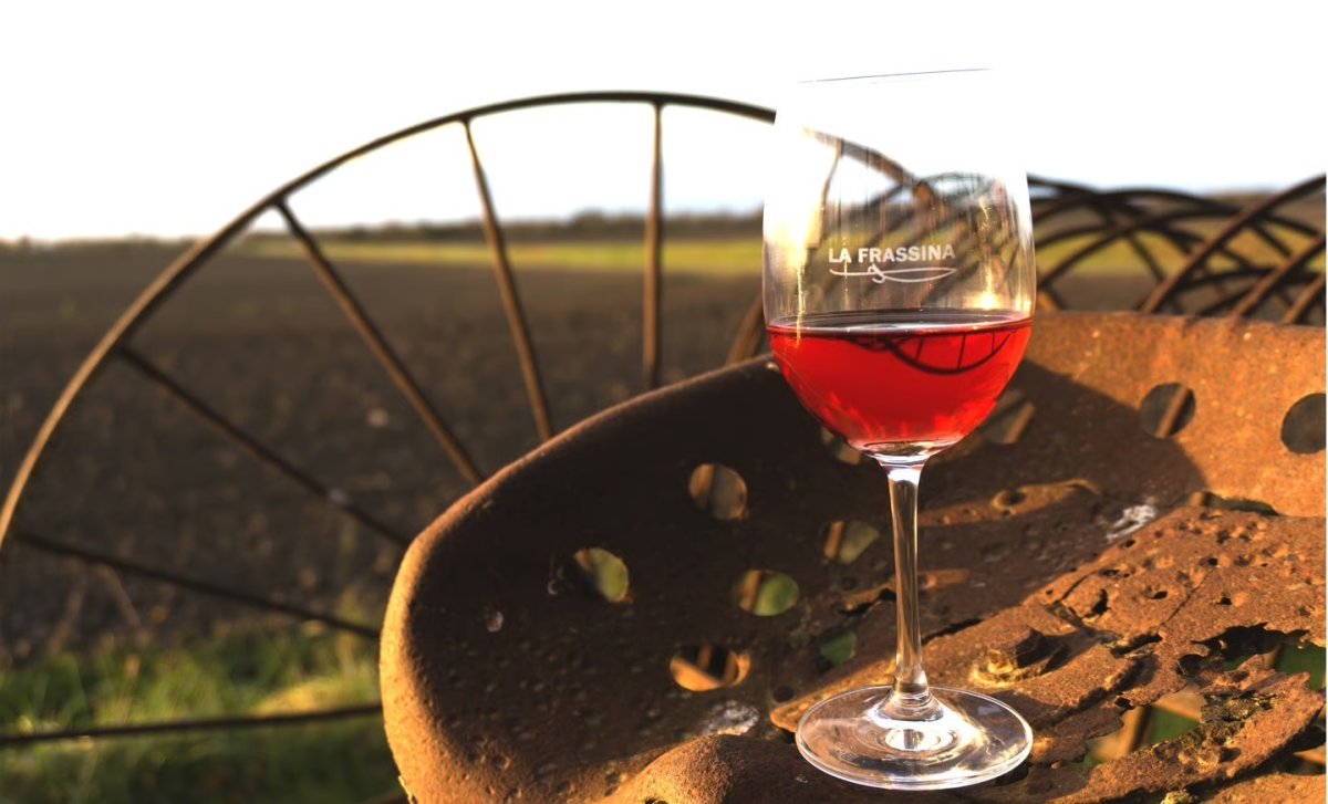 Hemingway Wine Tour