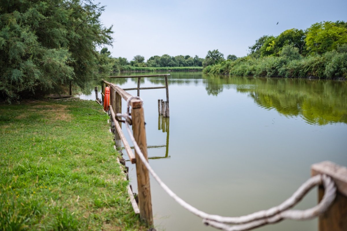 Giro bici per scoprire la laguna - Di là dal Fiume