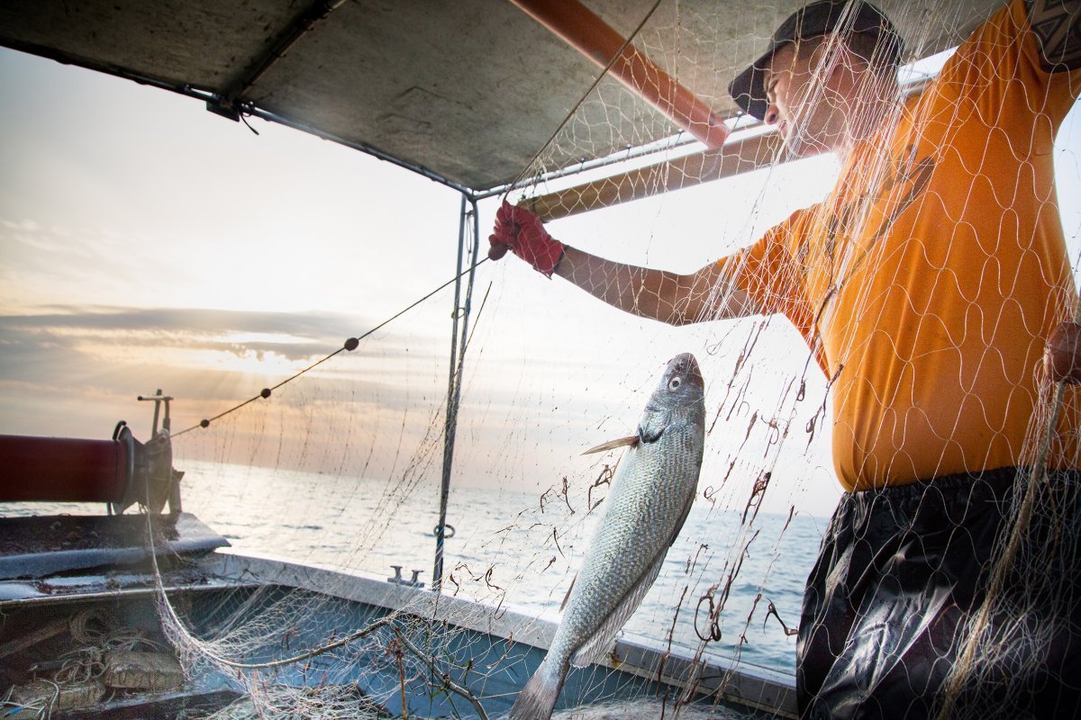 Pesca Turismo Santa Chiara