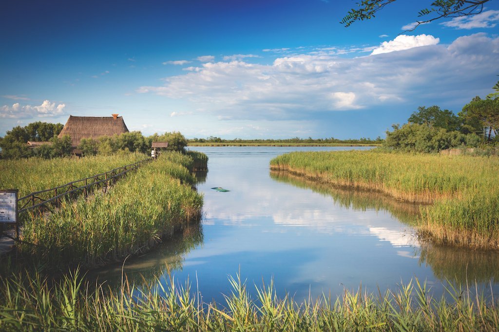 Giro della Laguna di Caorle — Pontoon Boat - Infrasettimanale mezza giornata