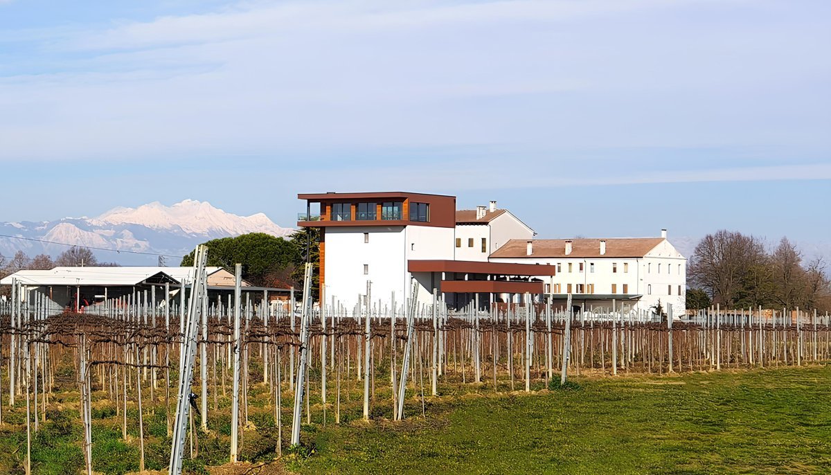 Villa Bogdano 1880: la tenuta di Lison tra bosco e vigne storiche