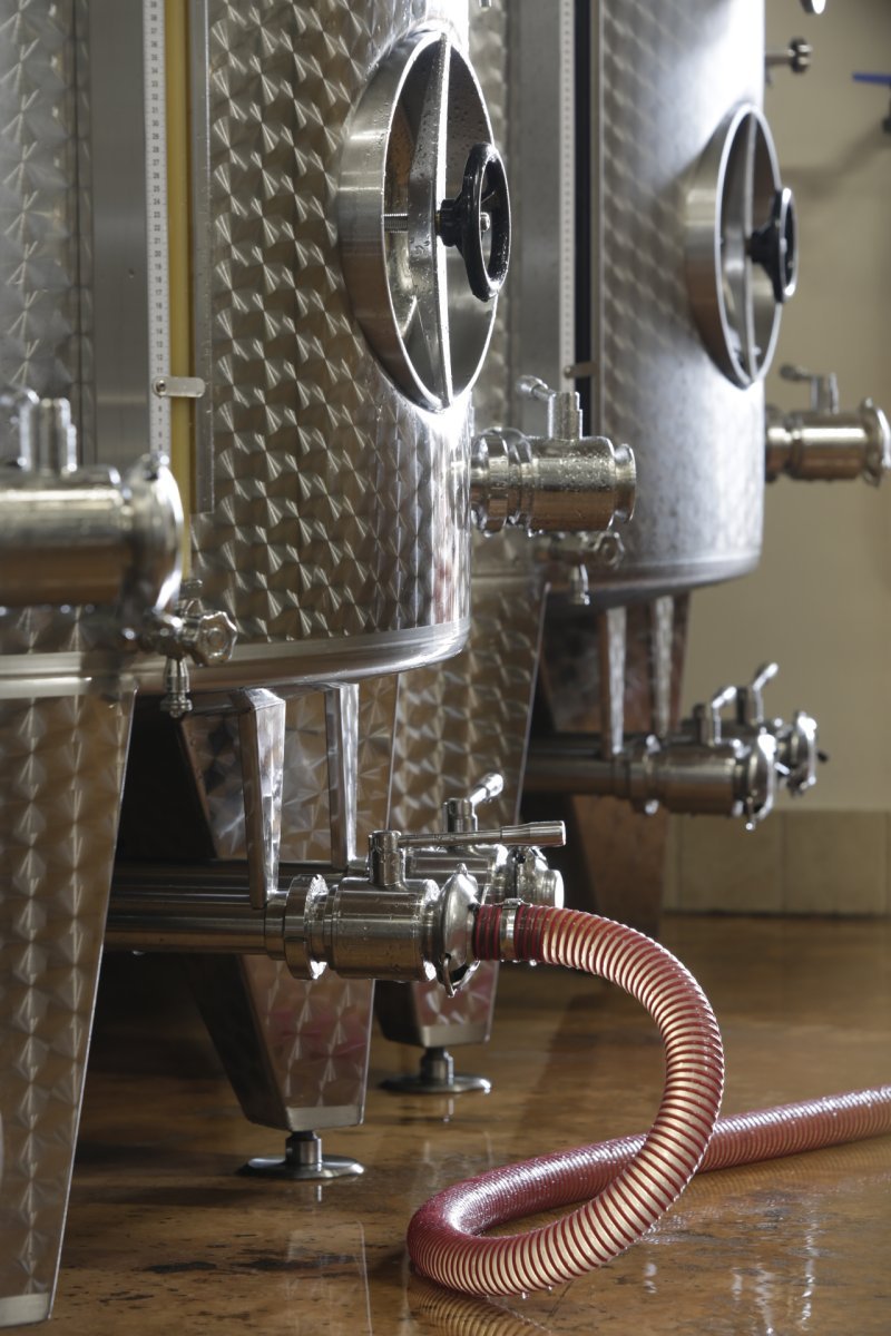 Il Percorso del Gusto a Pramaggiore: cantina Ornella Bellia