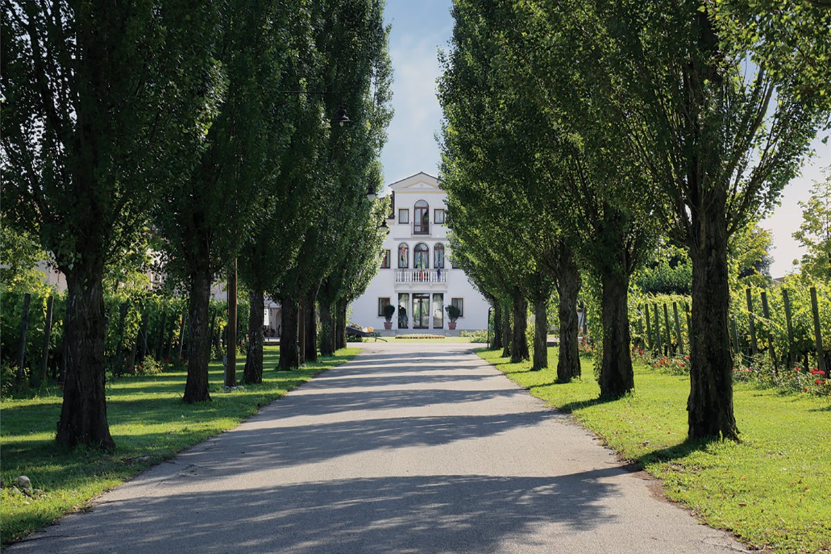 Casa Paladin: visita in cantina e degustazione ad Annone Veneto