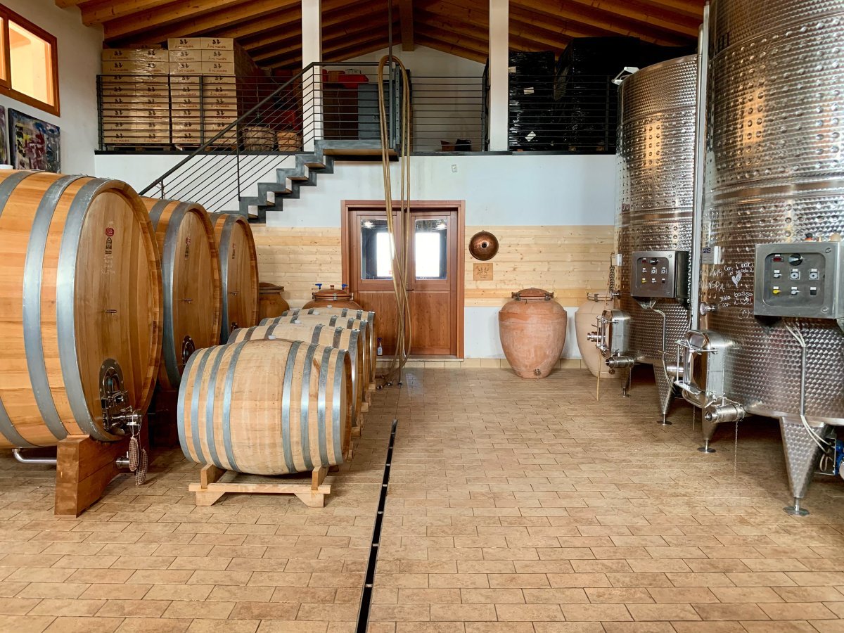 Vino e biodiversità a Lison: visita e degustazione della cantina A Mi Manera