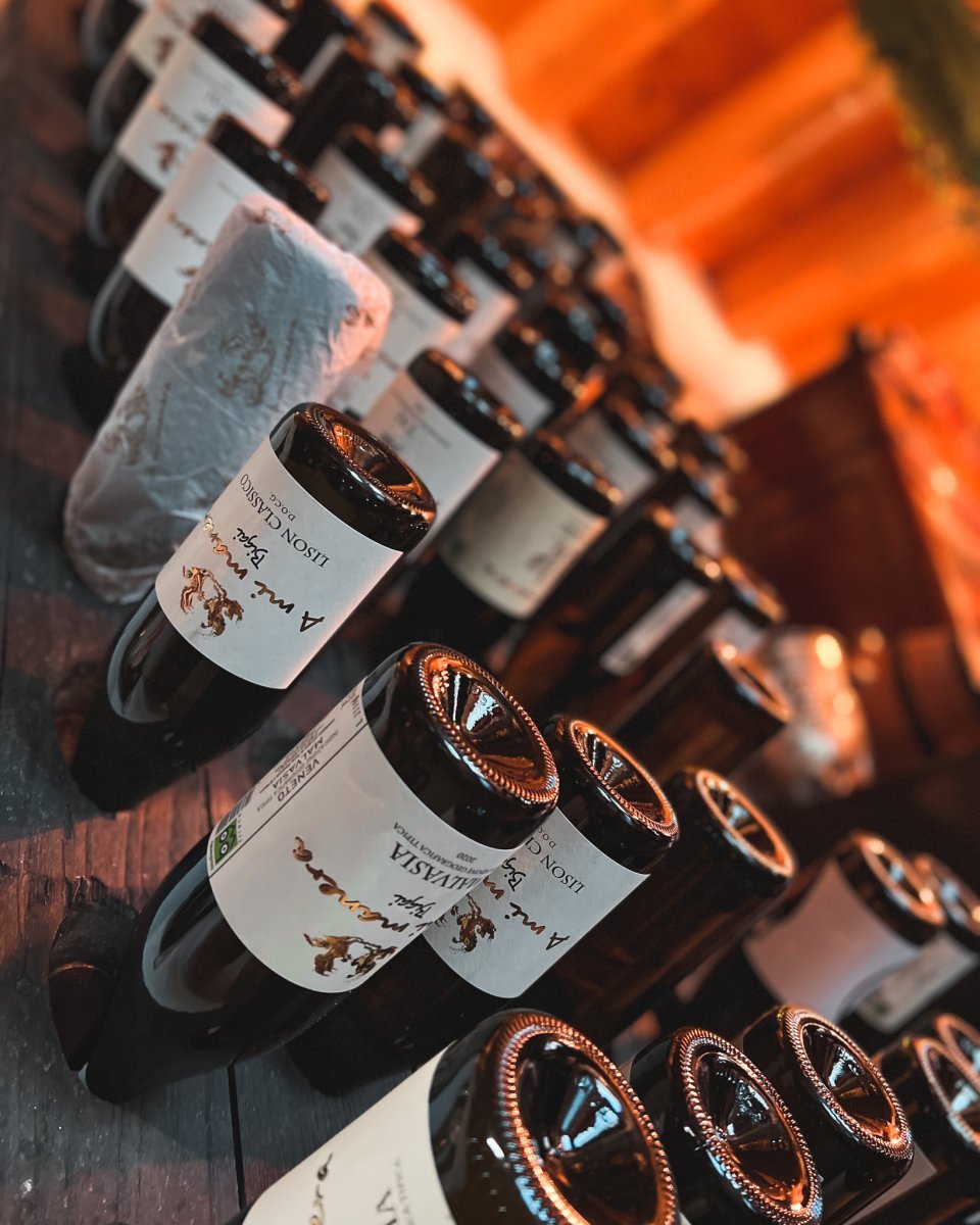 Vino e biodiversità a Lison: visita e degustazione della cantina A Mi Manera